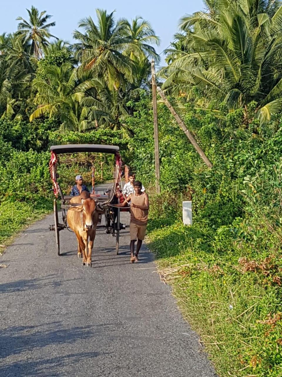 Star Home Stay Bentota Exteriör bild
