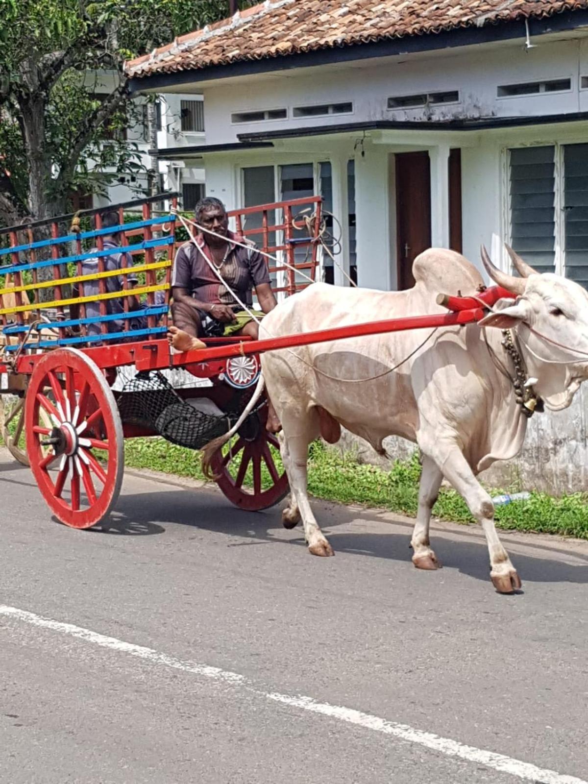 Star Home Stay Bentota Exteriör bild